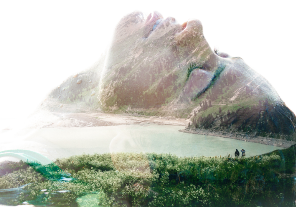 品質の良いオーガニックハーブカラー剤を低価格でご用意しております。